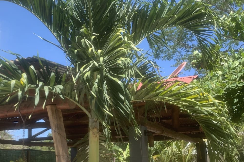 Photo of Outdoor in Marbella