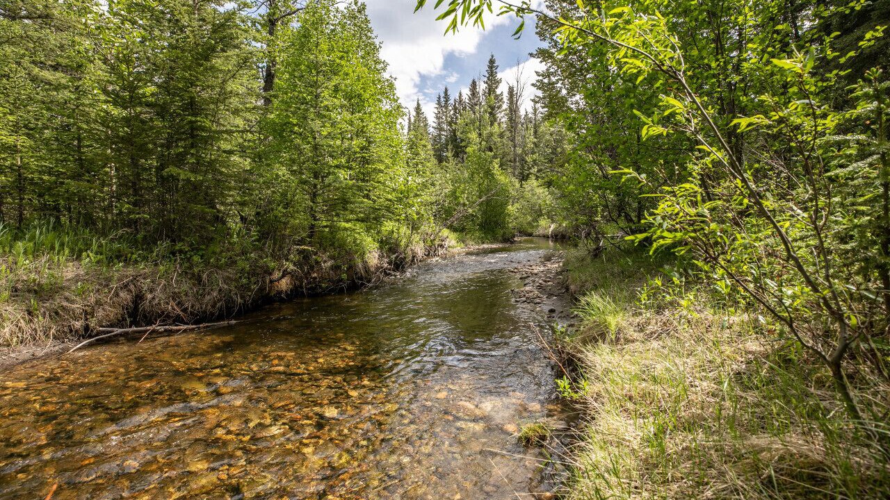 Photo of Outdoor in Hinton