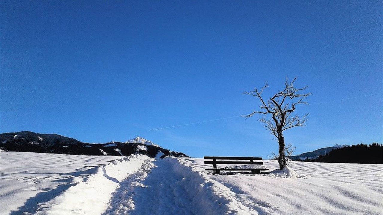 Photo of Others in Mitterberg