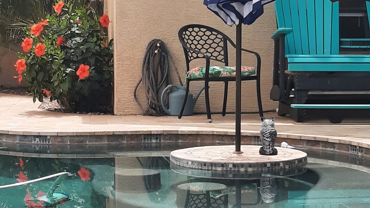 Photo of Outdoor in Maricopa