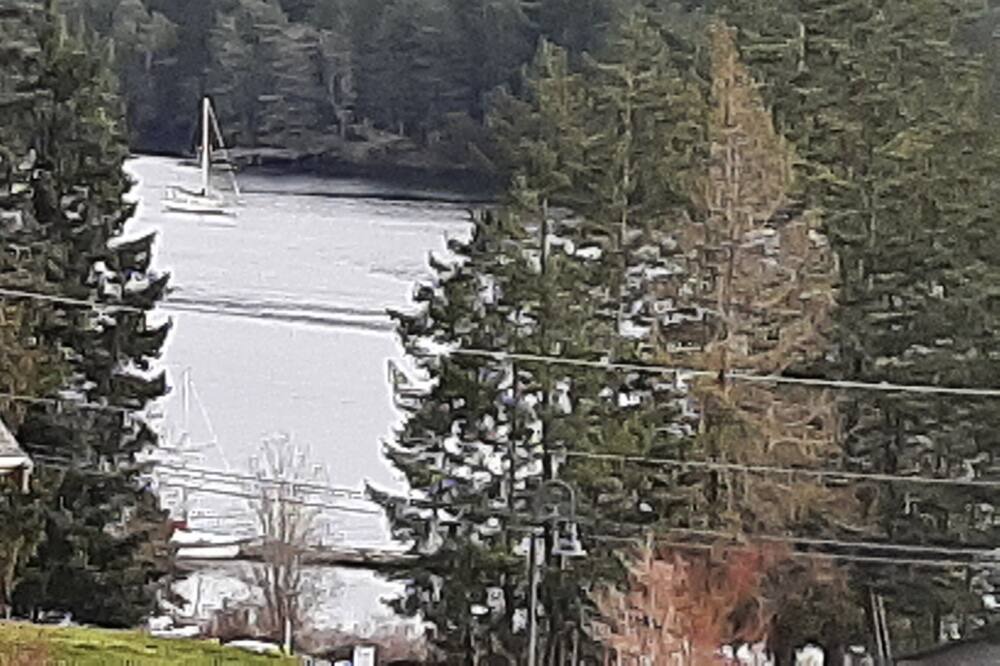 Photo of Others in Maple Bay