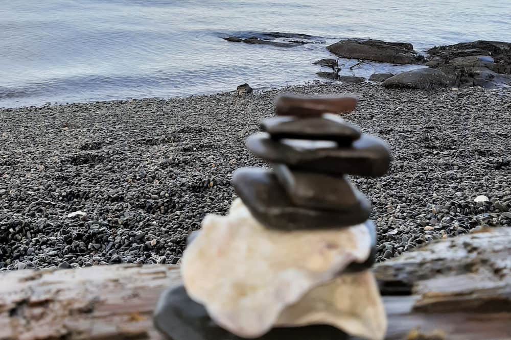 Photo of Others in Maple Bay