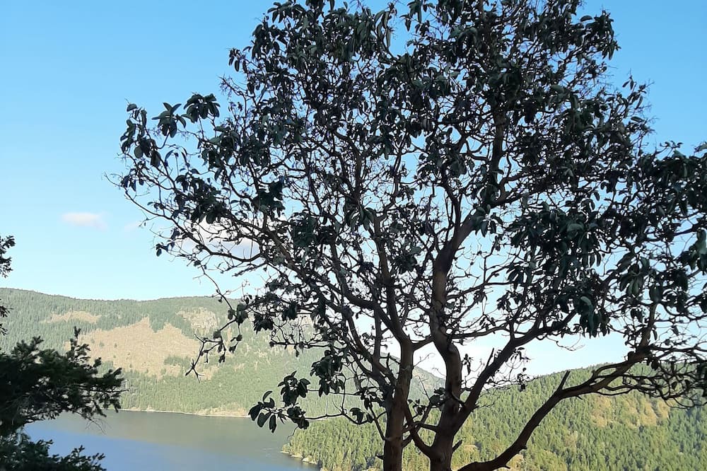 Photo of Others in Maple Bay