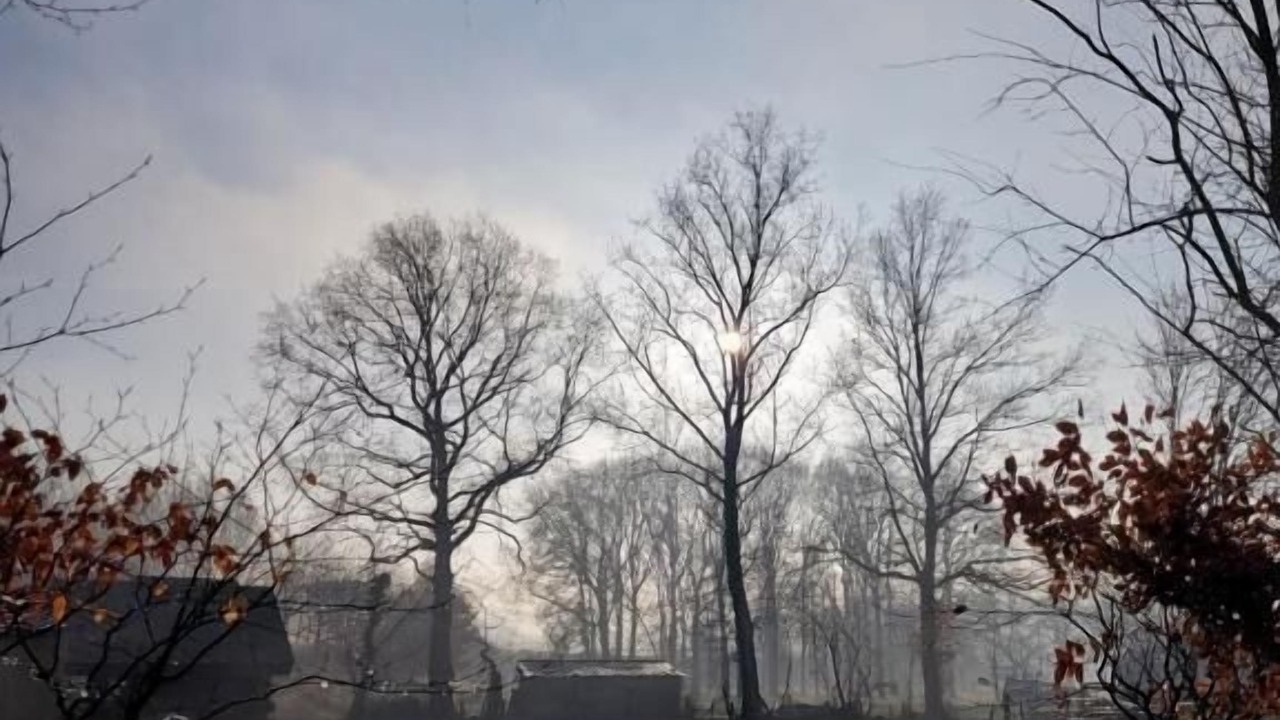 Photo of Outdoor in Kwaadmechelen