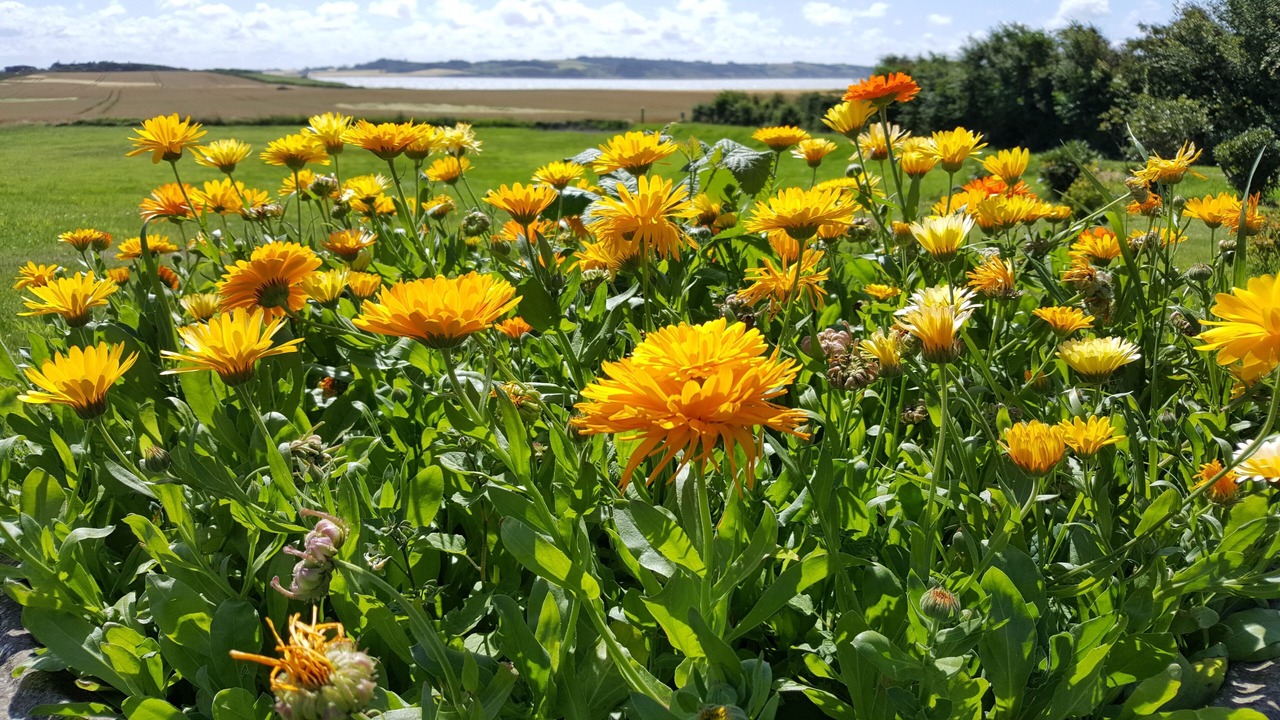 Photo of Outdoor in Nykobing Mors
