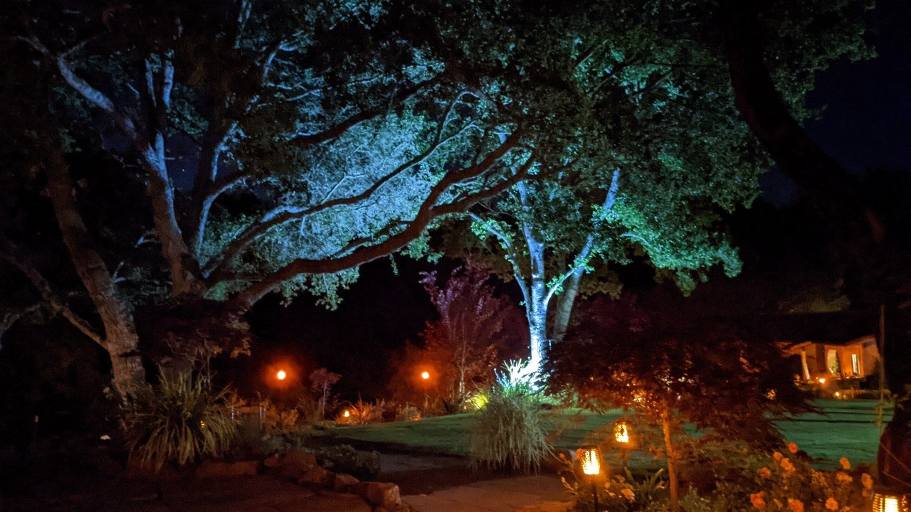 Photo of Outdoor in Los Gatos