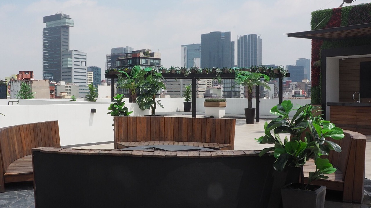 Photo of Outdoor in Roma Norte