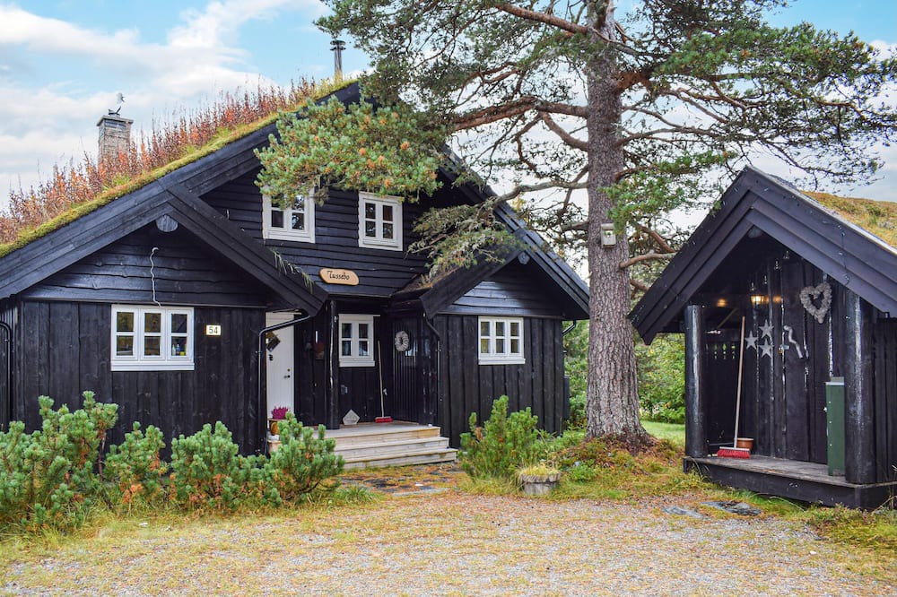 Photo of Outdoor in Sigdal Municipality