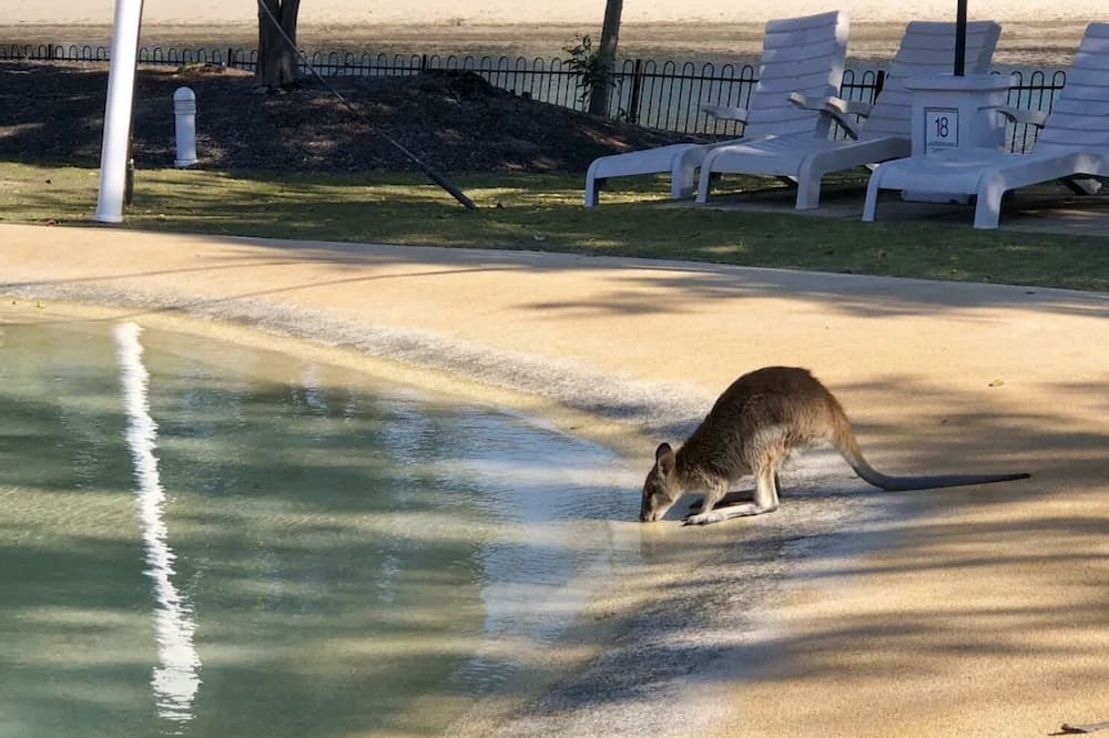 Photo of Others in Gold Coast