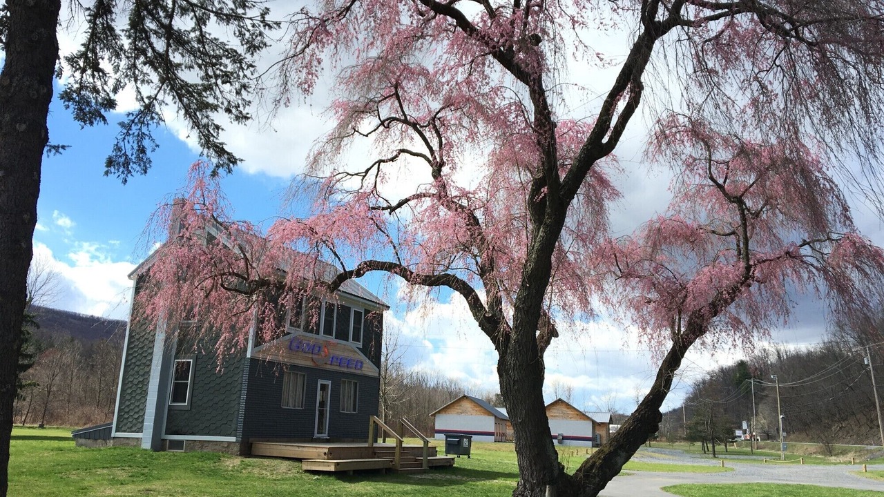 Photo of Outdoor in Port Matilda
