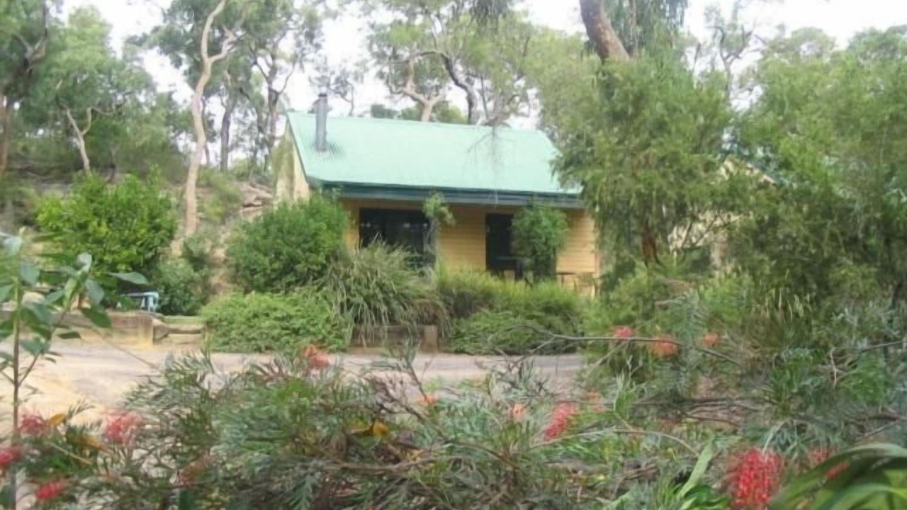 Photo of Outdoor in Wheeny Creek