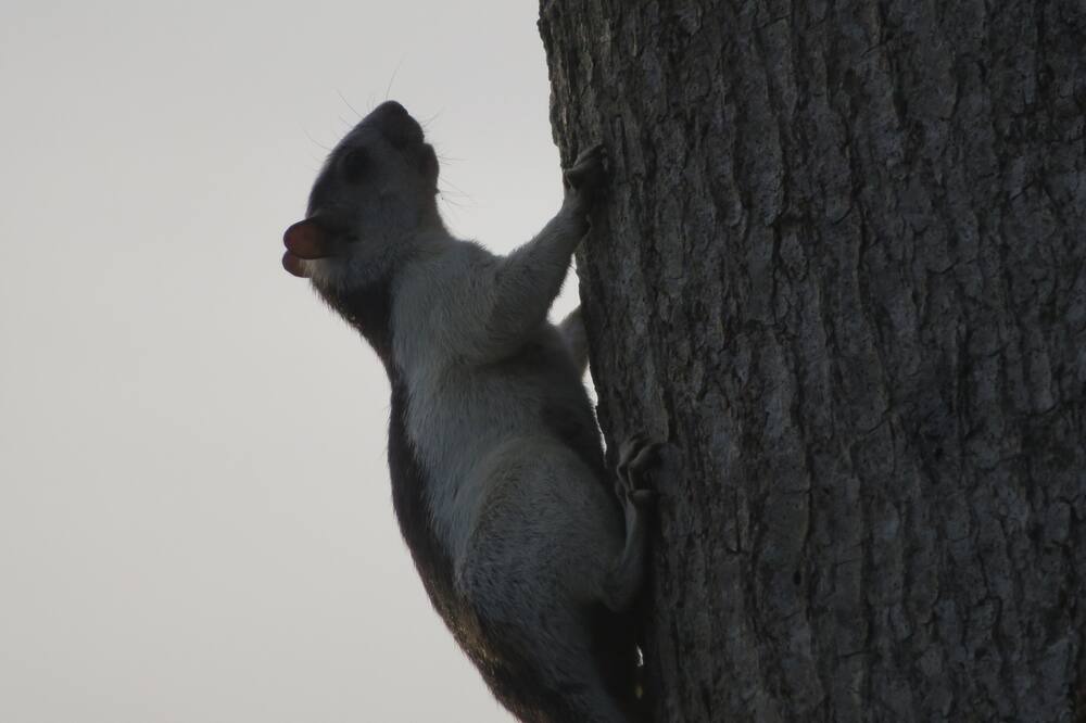 Photo of Others in Niquinohomo