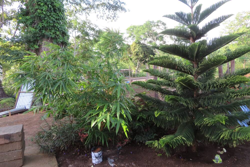 Photo of Outdoor in Niquinohomo