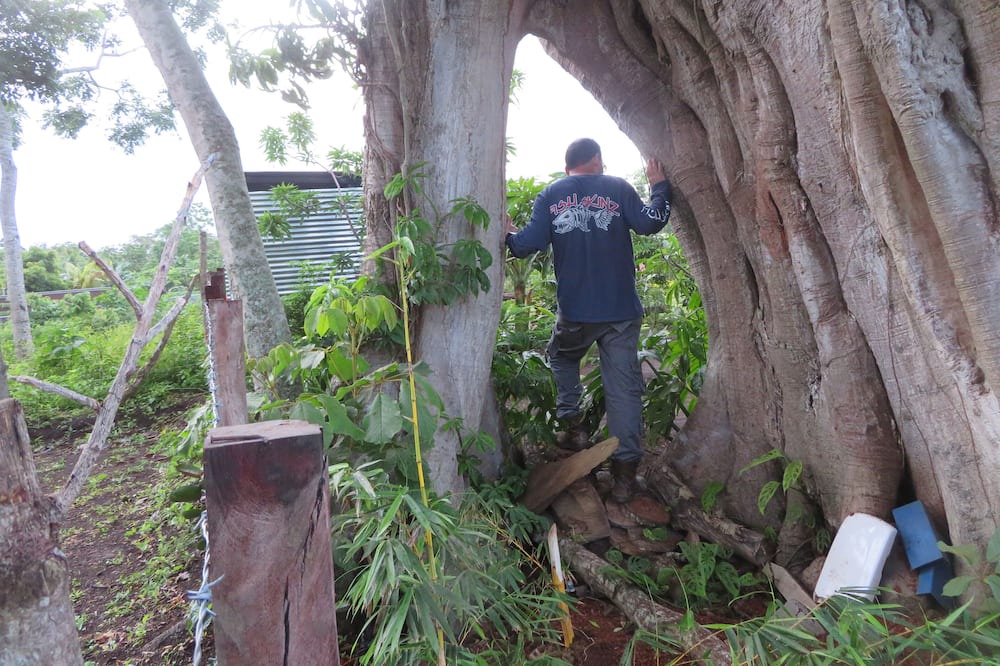 Photo of Outdoor in Niquinohomo
