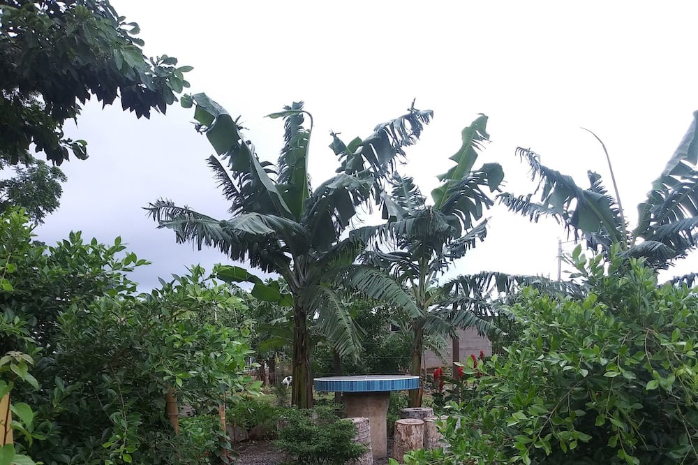 Photo of Outdoor in Niquinohomo