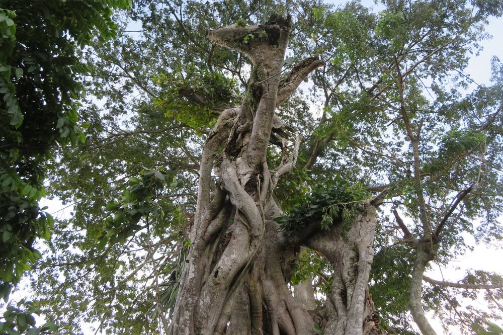 Photo of Outdoor in Niquinohomo