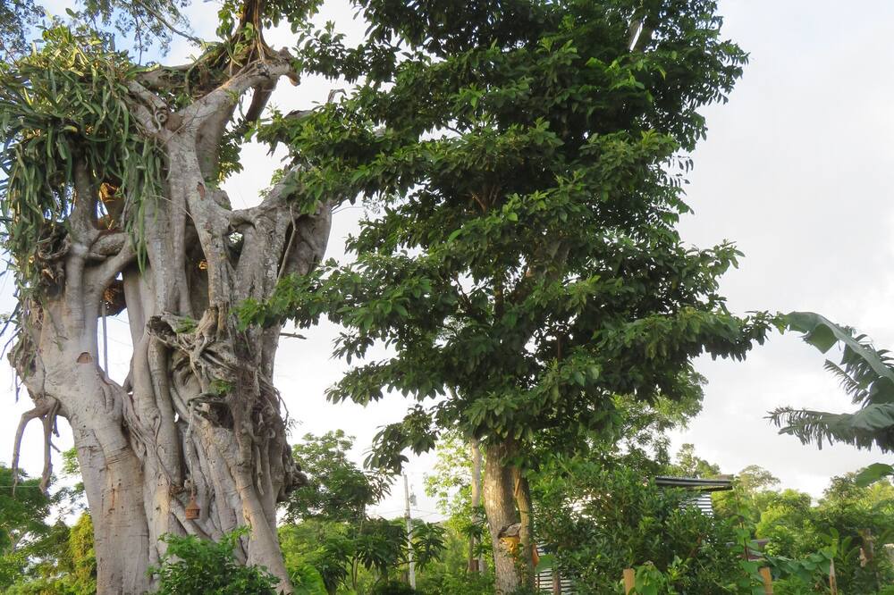 Photo of Outdoor in Niquinohomo