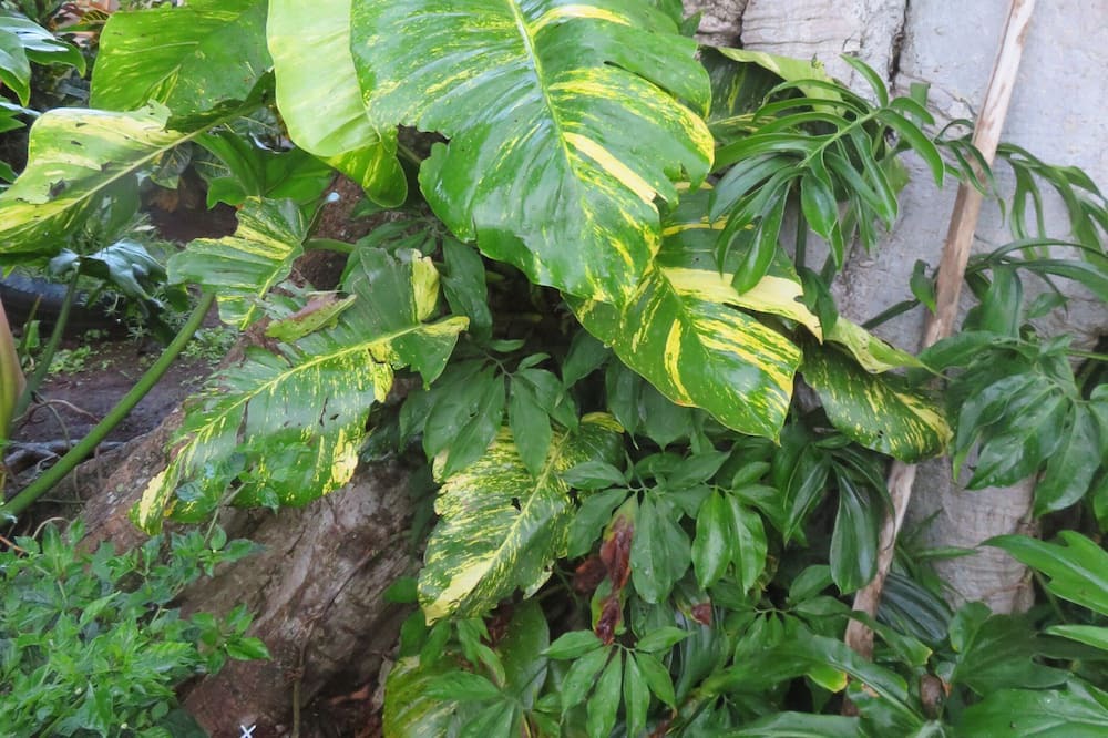 Photo of Outdoor in Niquinohomo