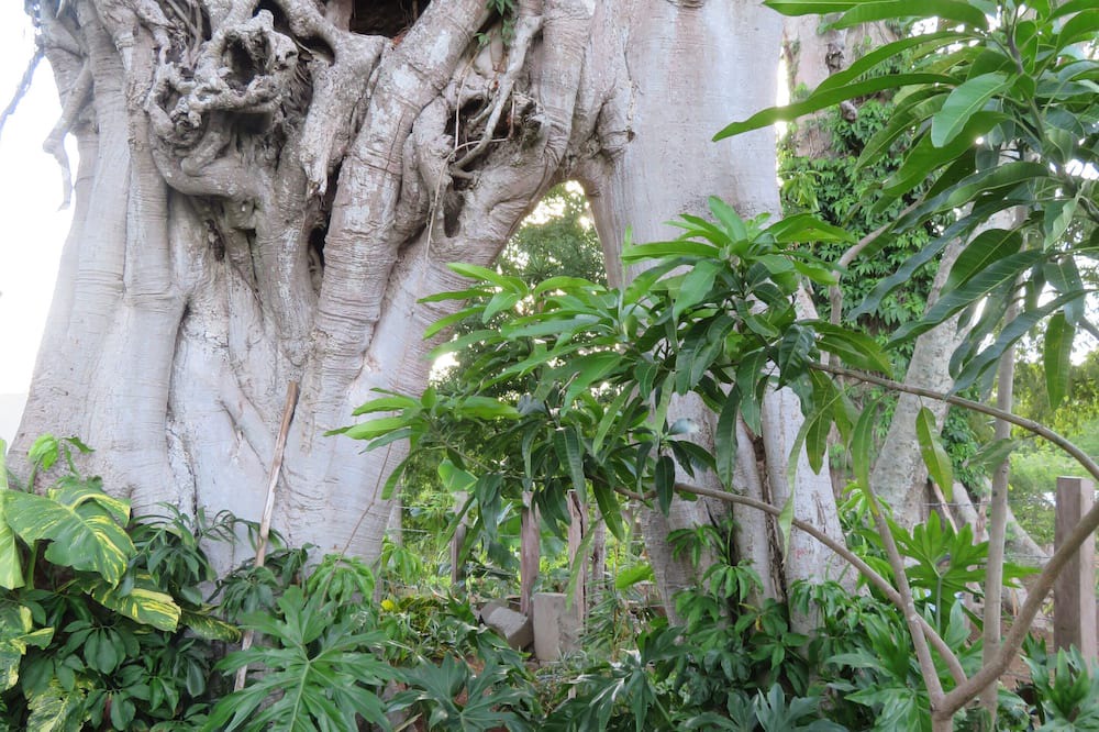 Photo of Outdoor in Niquinohomo