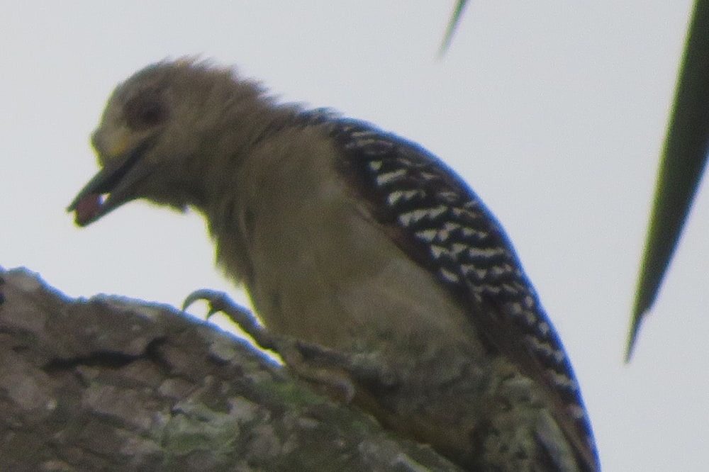 Photo of Outdoor in Niquinohomo