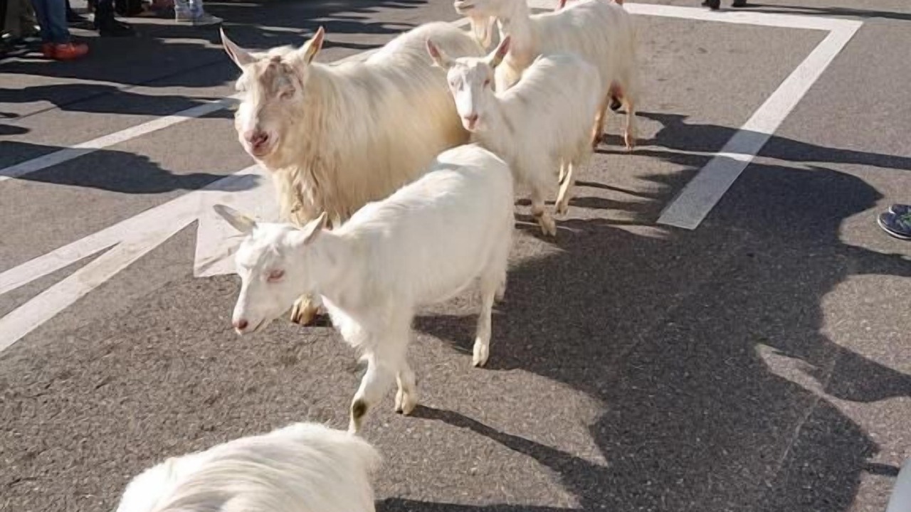 Photo of Others in Rute