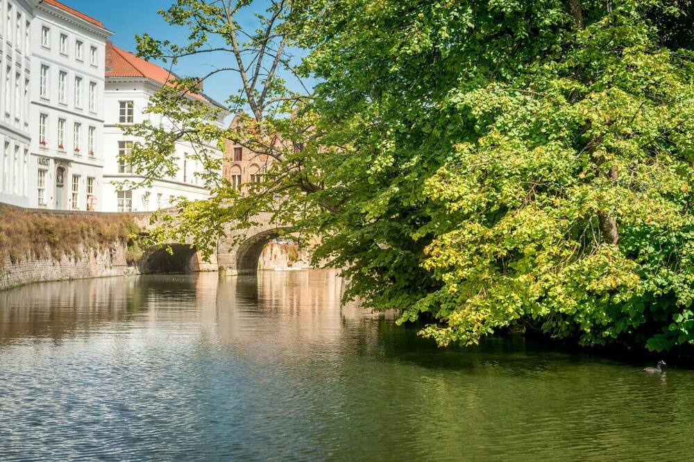 Photo of Others in Historical Center Bruges