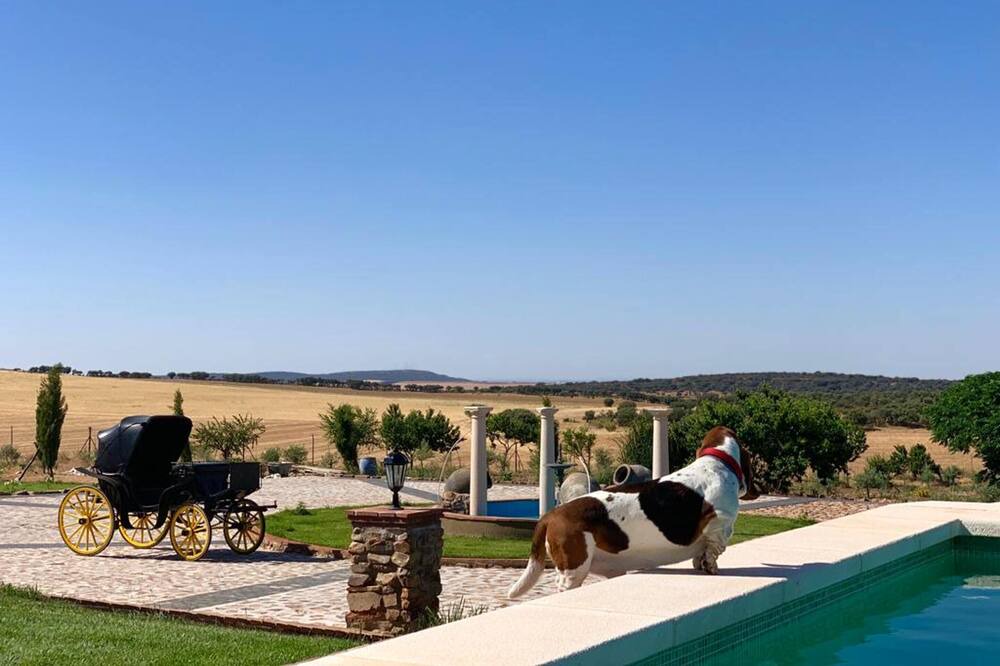 Photo of Outdoor in Fernan Caballero