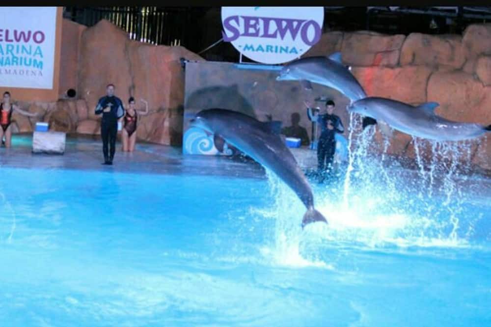 Photo of Outdoor in Benalmadena Costa