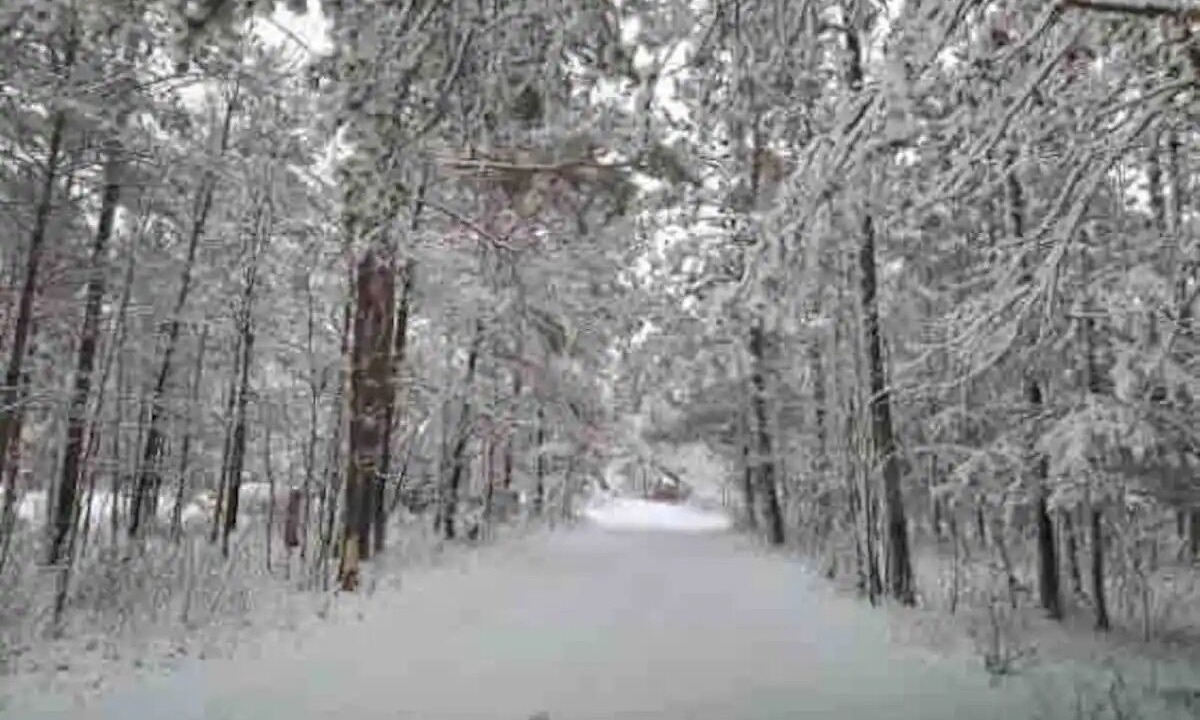 Photo of Others in Grayling