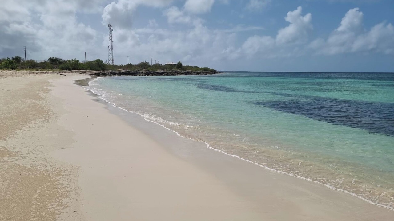 Photo of Others in Codrington