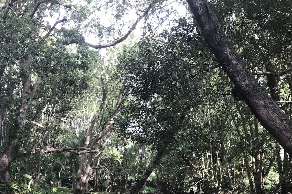 Photo of Outdoor in Main Arm