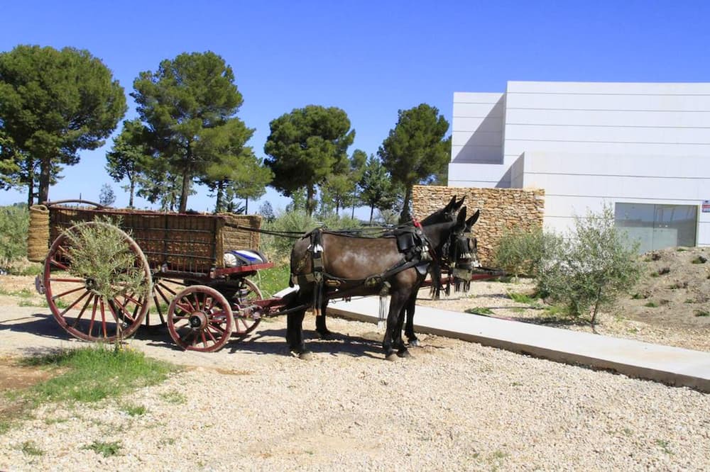 Photo of Others in Argamasilla de Alba