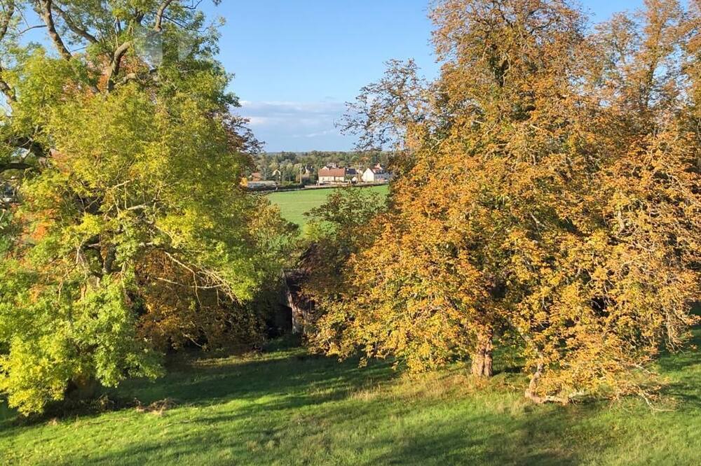 Photo of Outdoor in Poilly-lez-Gien