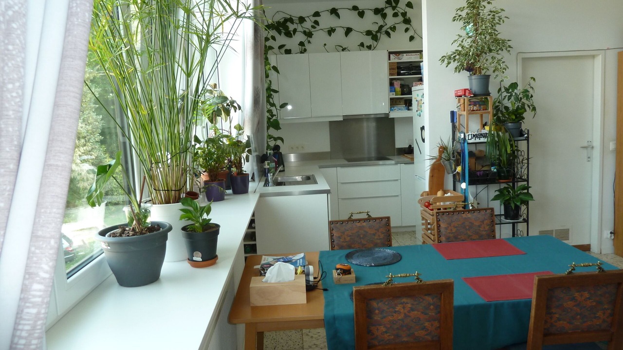 Photo of Kitchen in Profondeville