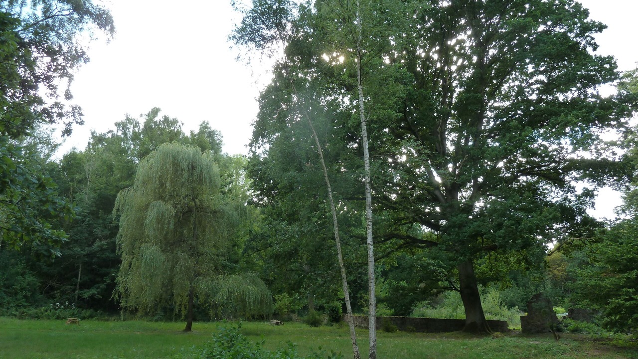 Photo of Outdoor in Profondeville