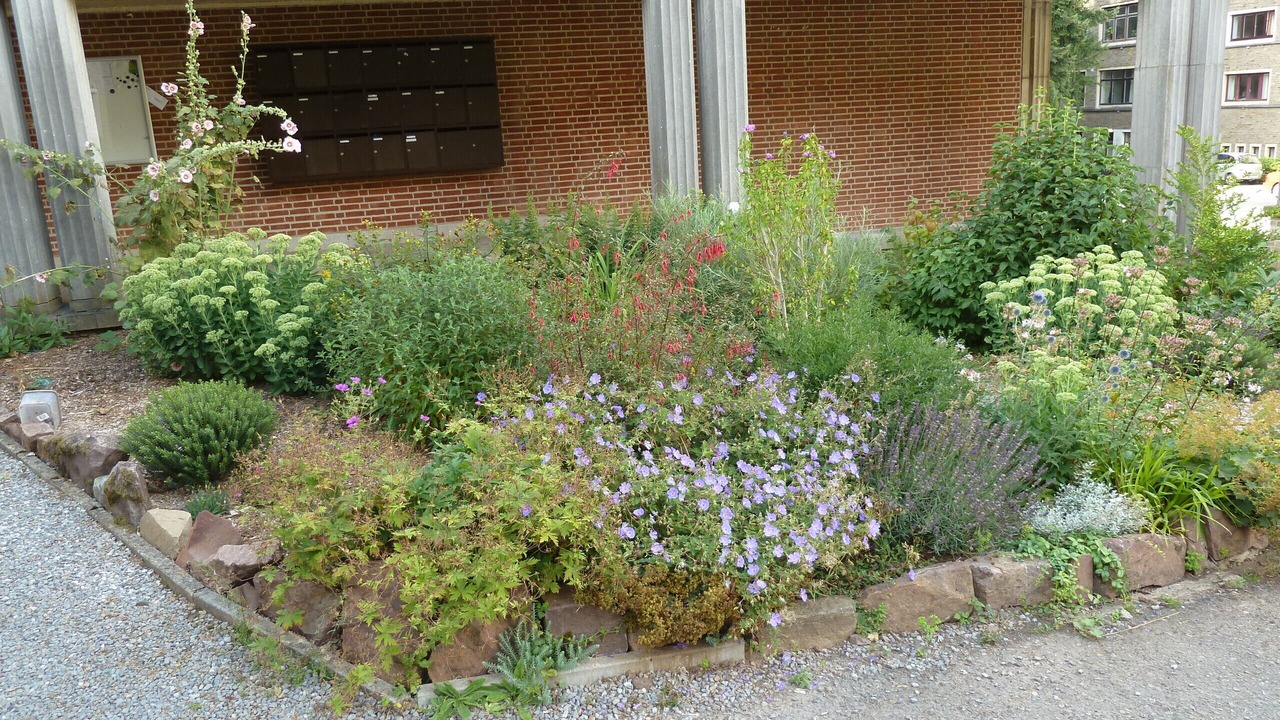 Photo of Outdoor in Profondeville