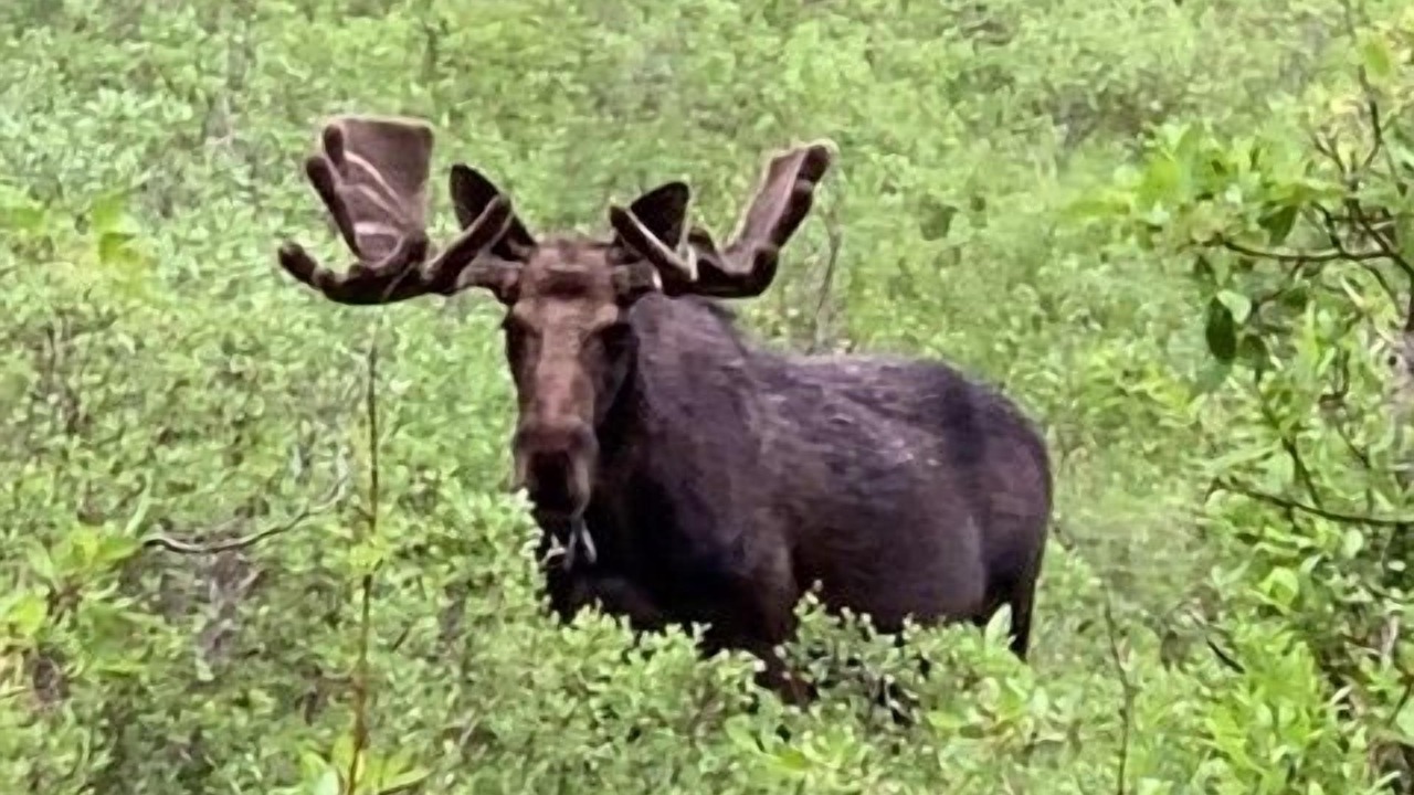 Photo of Others in Breckenridge