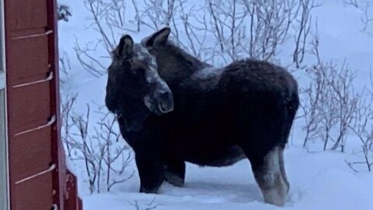 Photo of Others in Breckenridge