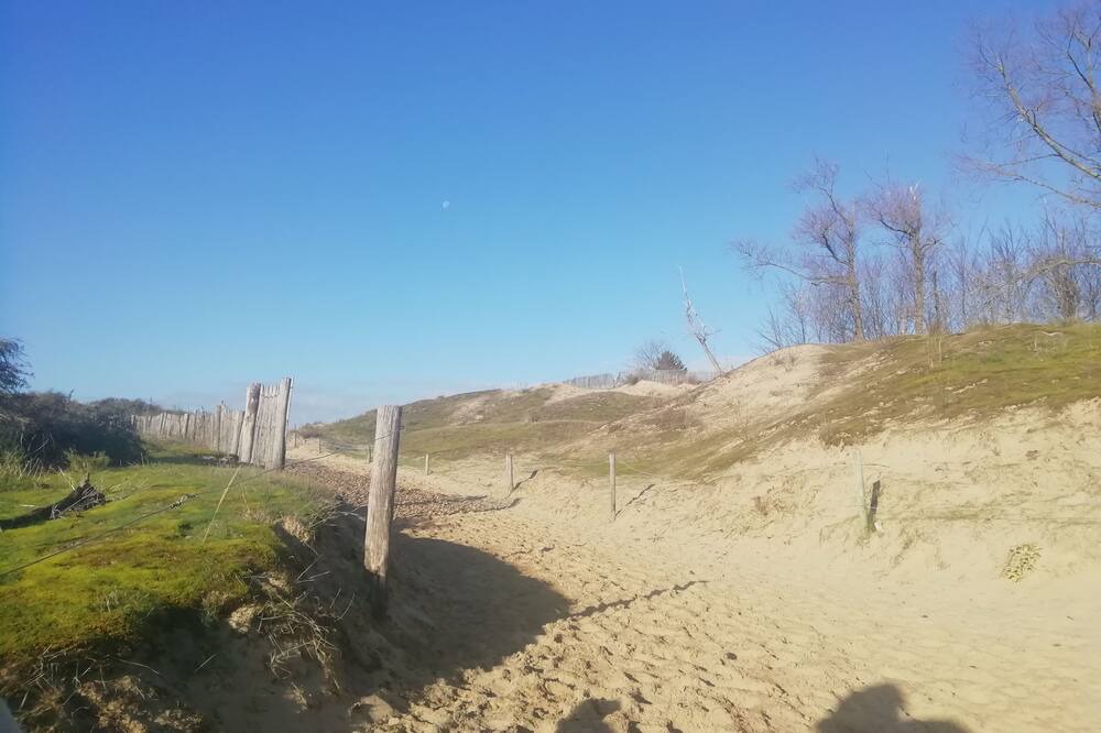 Photo of Others in De Panne