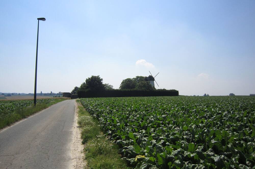 Photo of Others in Horebeke