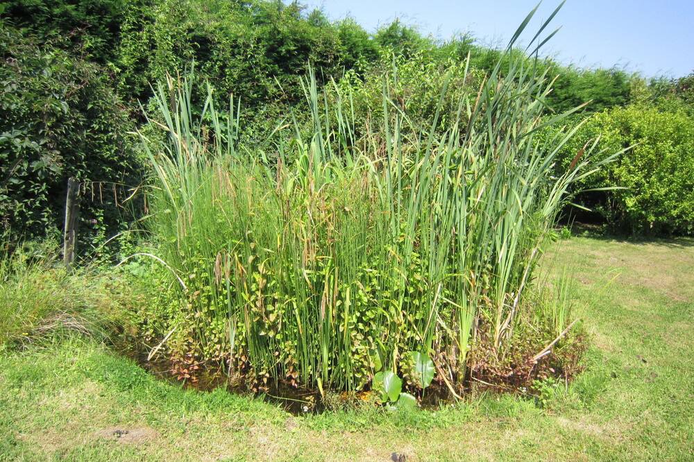 Photo of Outdoor in Horebeke