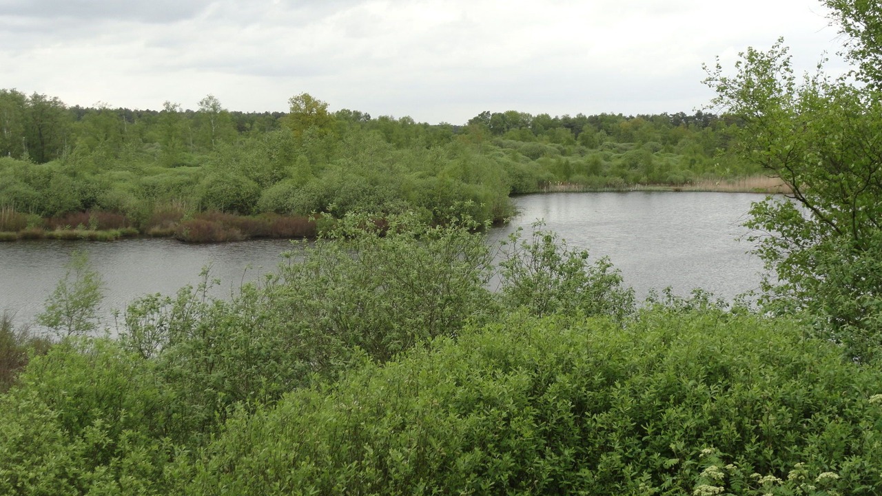 Photo of Outdoor in Oud-Turnhout