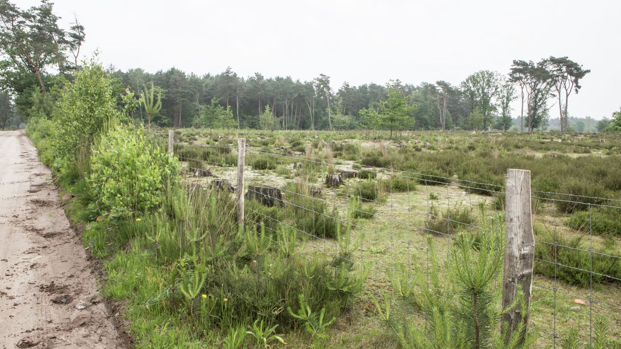 Photo of Outdoor in Oud-Turnhout