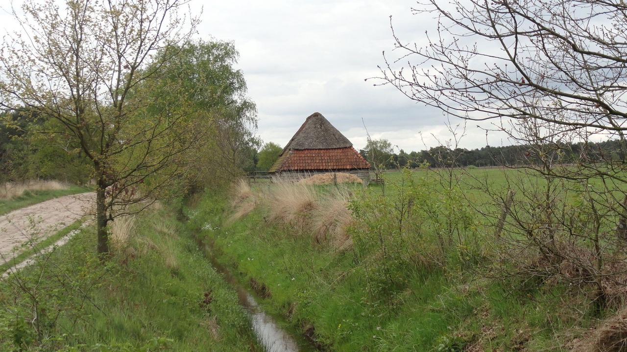 Photo of Outdoor in Oud-Turnhout