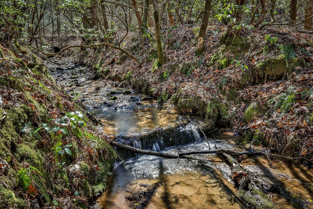 Photo of Others in Ellijay