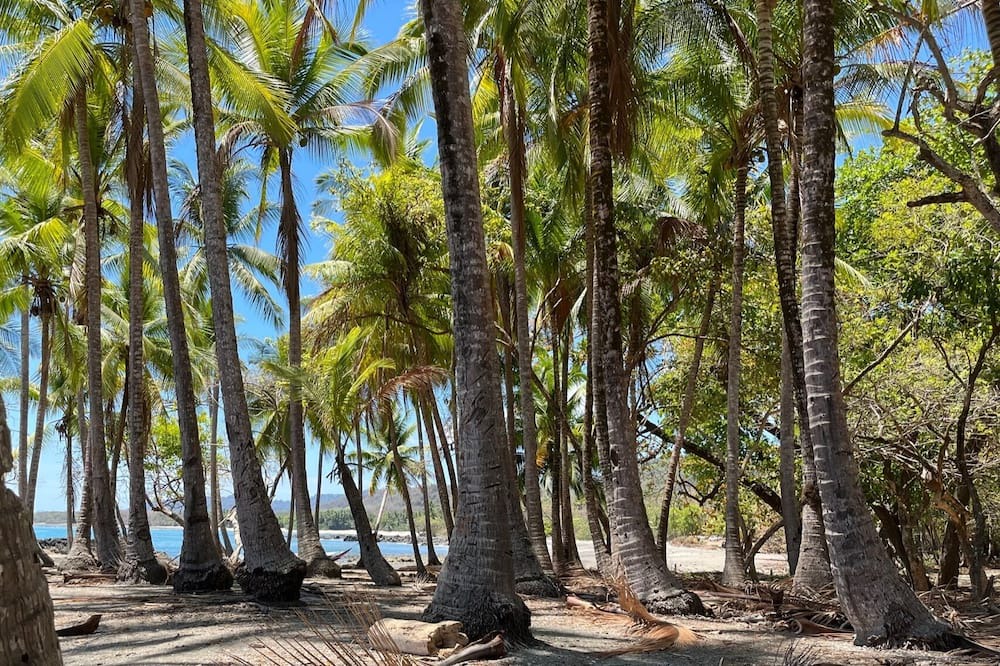 Photo of Outdoor in Cabuya
