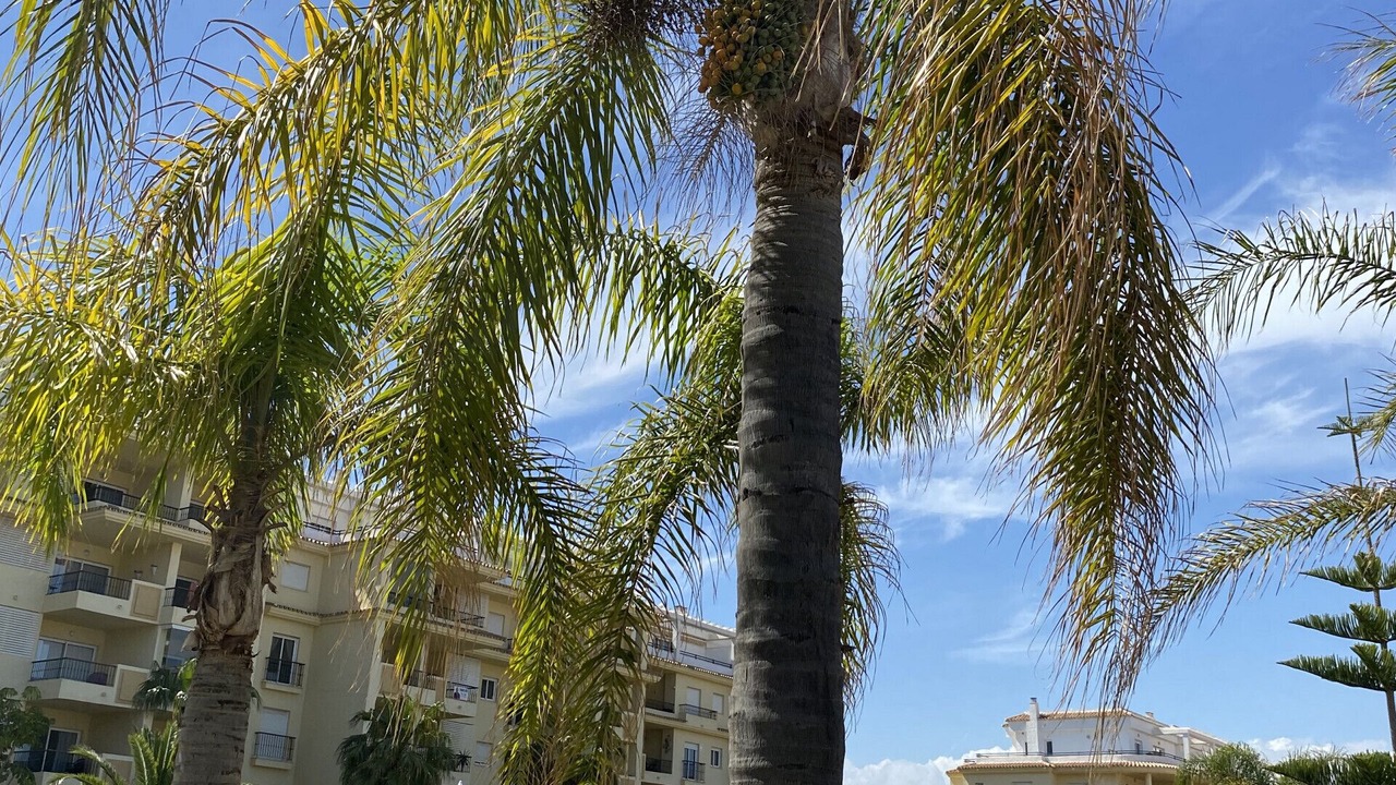Photo of Outdoor in Mijas