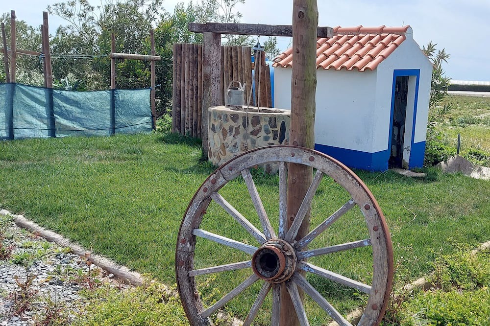 Photo of Outdoor in Cavaleiro