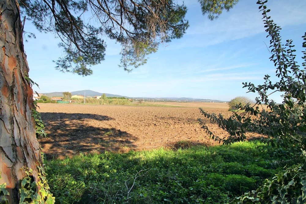 Photo of Others in Capalbio
