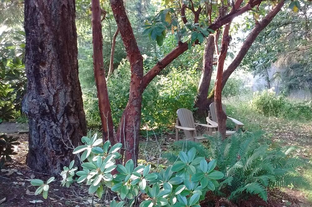 Photo of Outdoor in Maple Bay